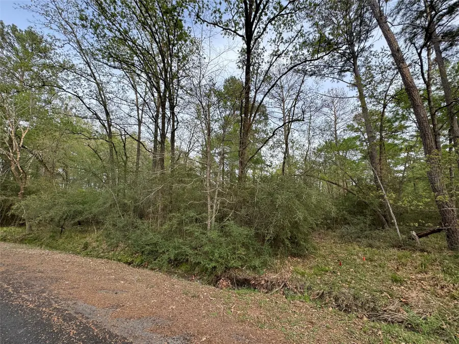 TBD28 Broadmoor Drive, Trinity, TX 75862 - Image #2