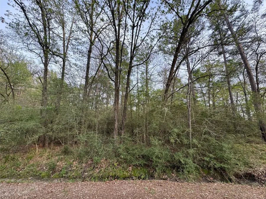 TBD28 Broadmoor Drive, Trinity, TX 75862 - Image #3