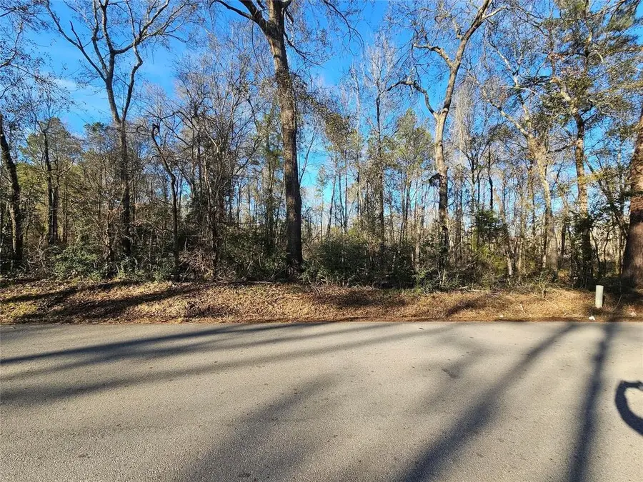 Lot 1 Sherwood Drive, Shepherd, TX 77371 - #3