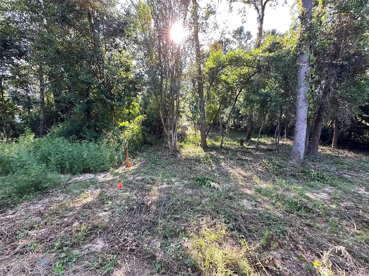 0 Whitehorse Lane, Willis, TX 77378 - Image #1