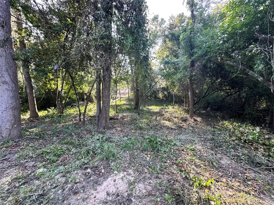 0 Whitehorse Lane, Willis, TX 77378 - Image #3