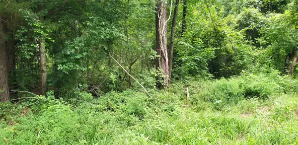 80 Morris Creek Road, Coldspring, TX 77331