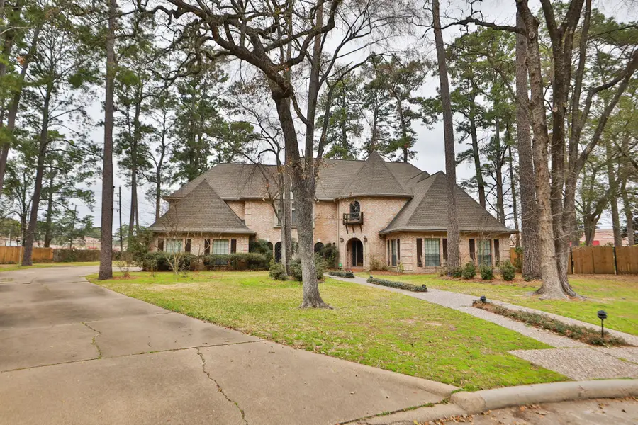 15235 Rainhollow Drive, Houston, TX 77070 - #3