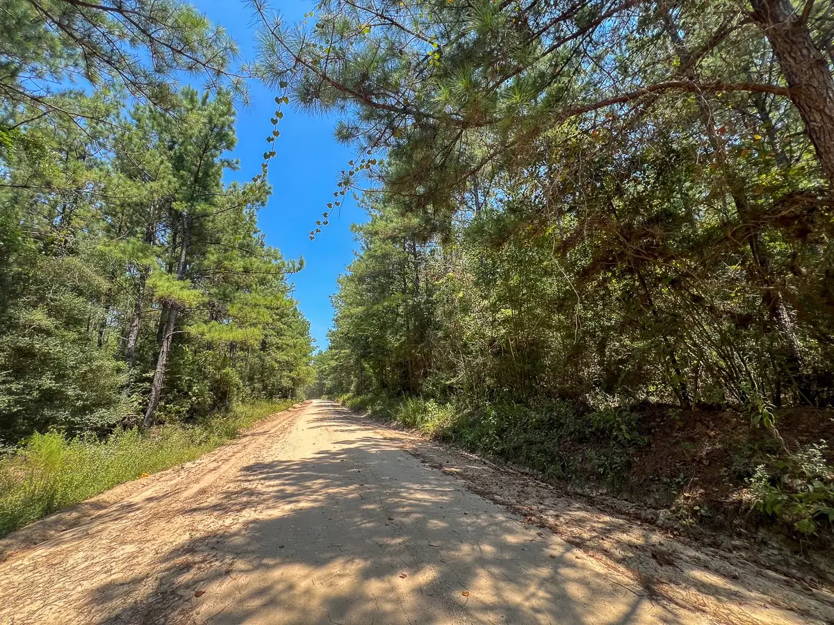 7 County Road 3230, Colmesneil, TX 75938 - #1