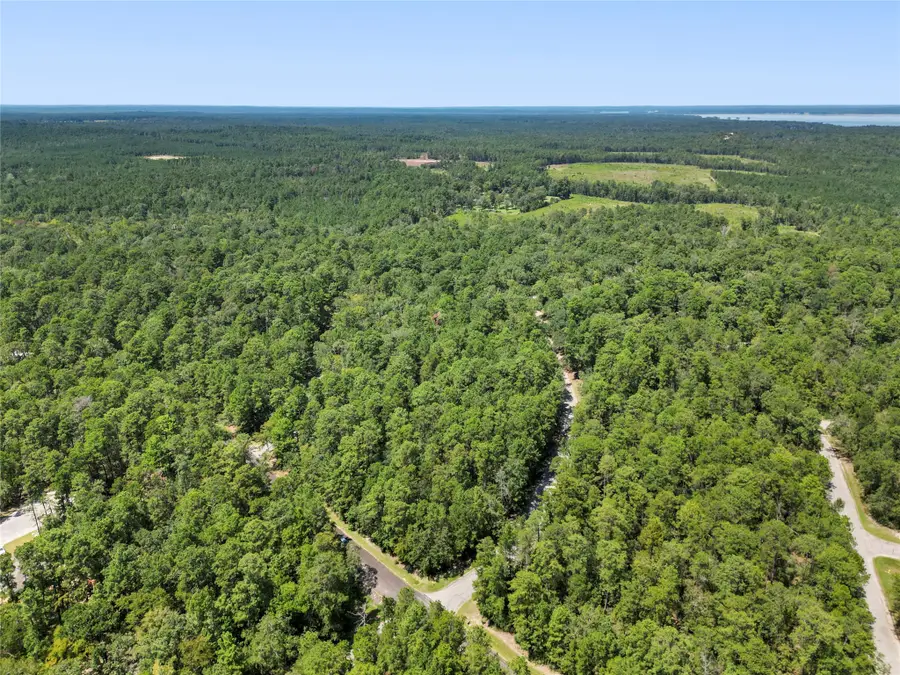 24733 Queenswood Plaza Drive, Huntsville, TX 77320 - Image #2