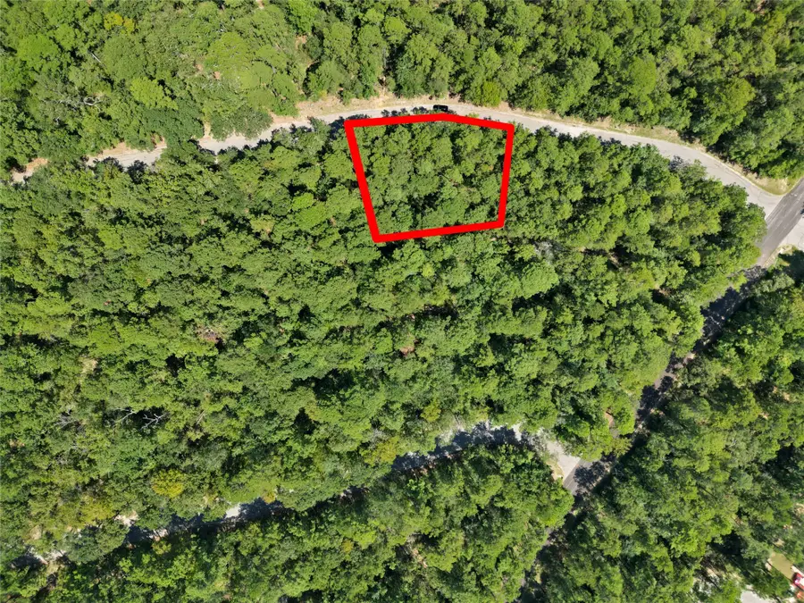 24733 Queenswood Plaza Drive, Huntsville, TX 77320 - Image #3