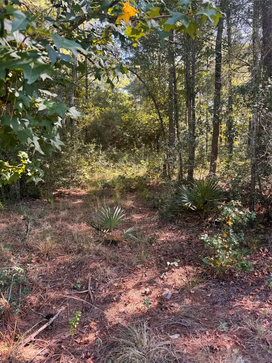 3B-1-61,62 Fire Sky Rd,, Huntsville, TX 77340 - #3