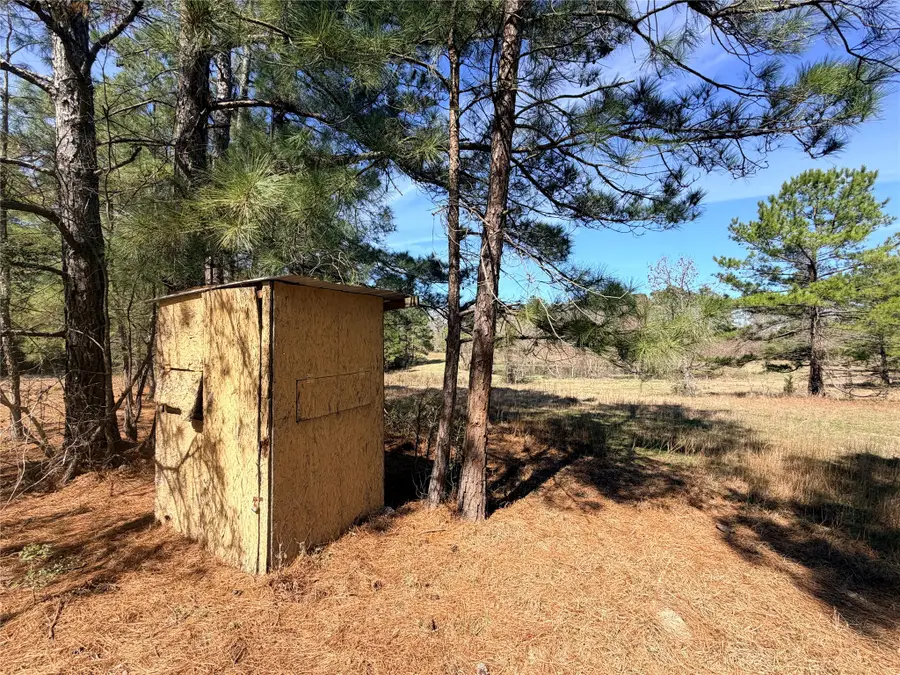 919 Pine Valley, Diboll, TX 75941 - #3