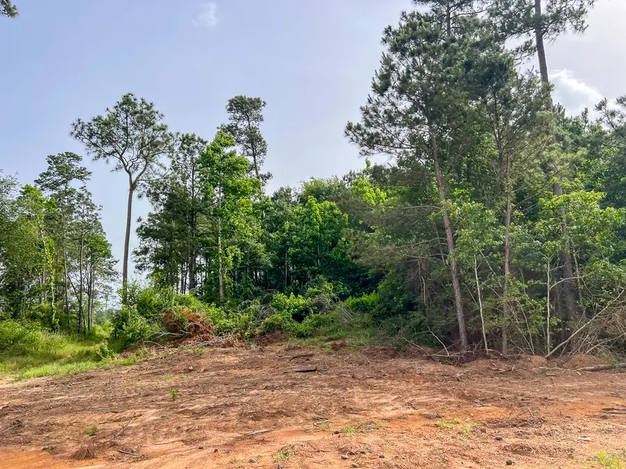 1 Old Salem Church Road, Willis, TX 77378 - Image #3