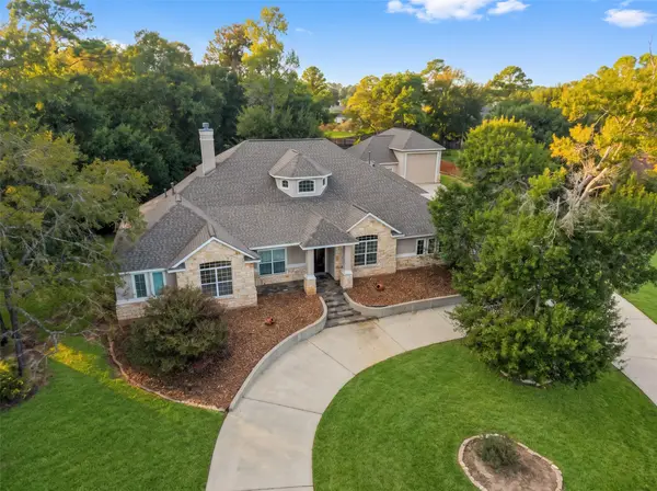 12195 N Lake Vista Drive, Willis, TX 77318