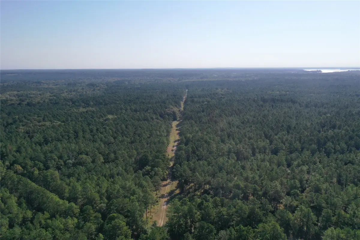 Tract 3 Trinity Lady Park Road W, Trinity, TX 75862 - Image #1