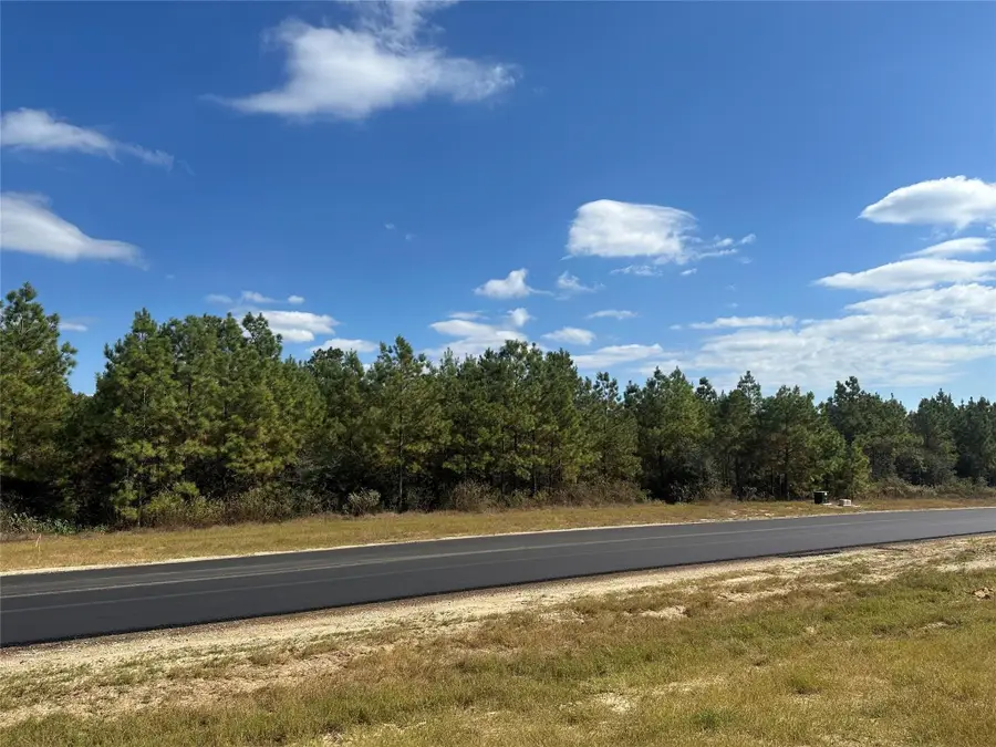 16307 Ridge Oak Road, Willis, TX 77378 - #2