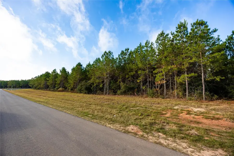 16307 Ridge Oak Road, Willis, TX 77378 - #3