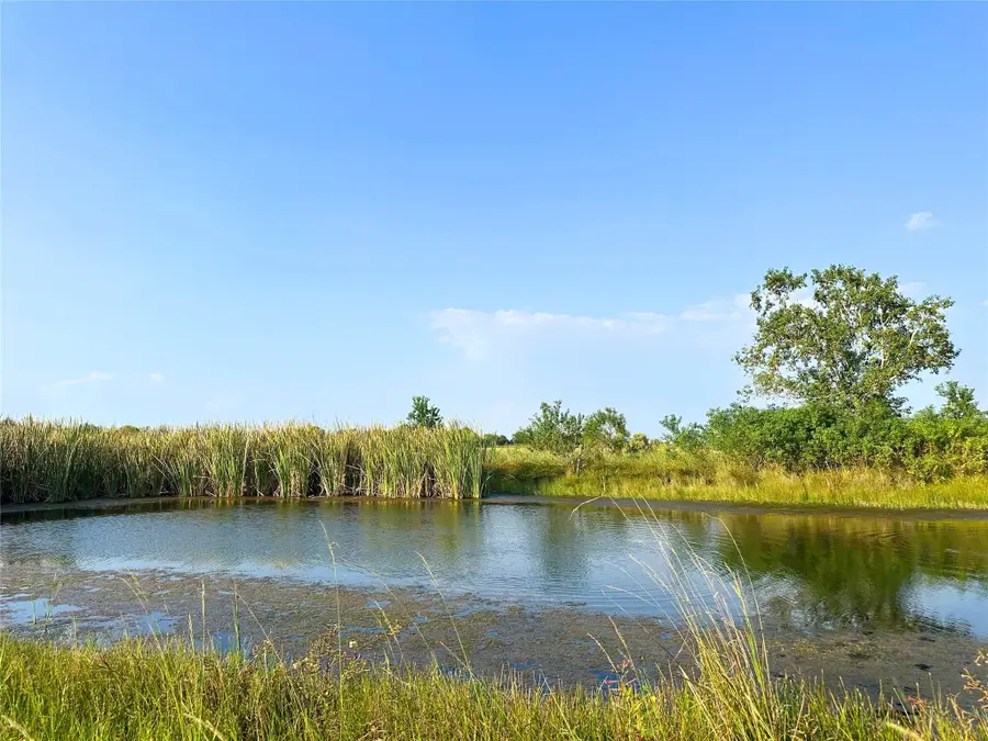 14202 County Road 210, Danbury, TX 77534 - Image #3