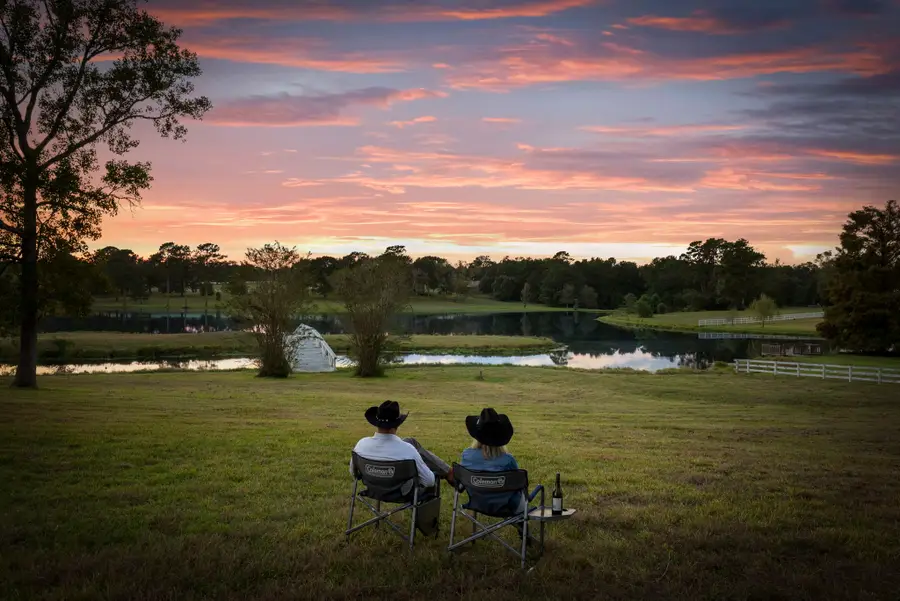 2250 Spring Branch Road, Montgomery, TX 77316 - #2