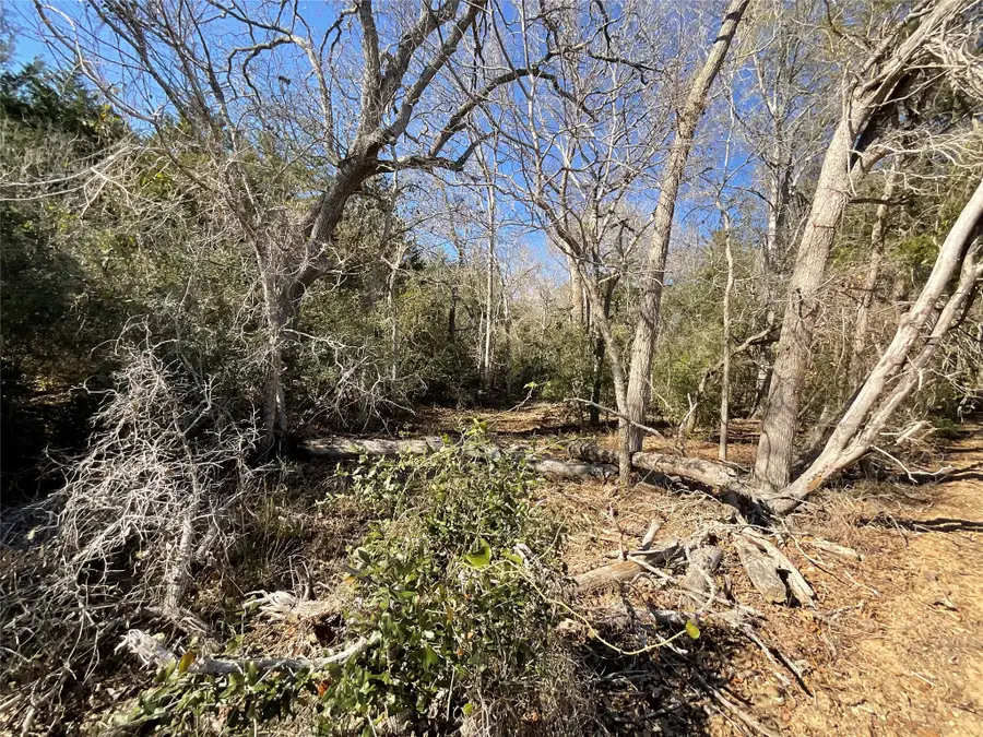 TBD County Road 212, Hallettsville, TX 77964 - #3