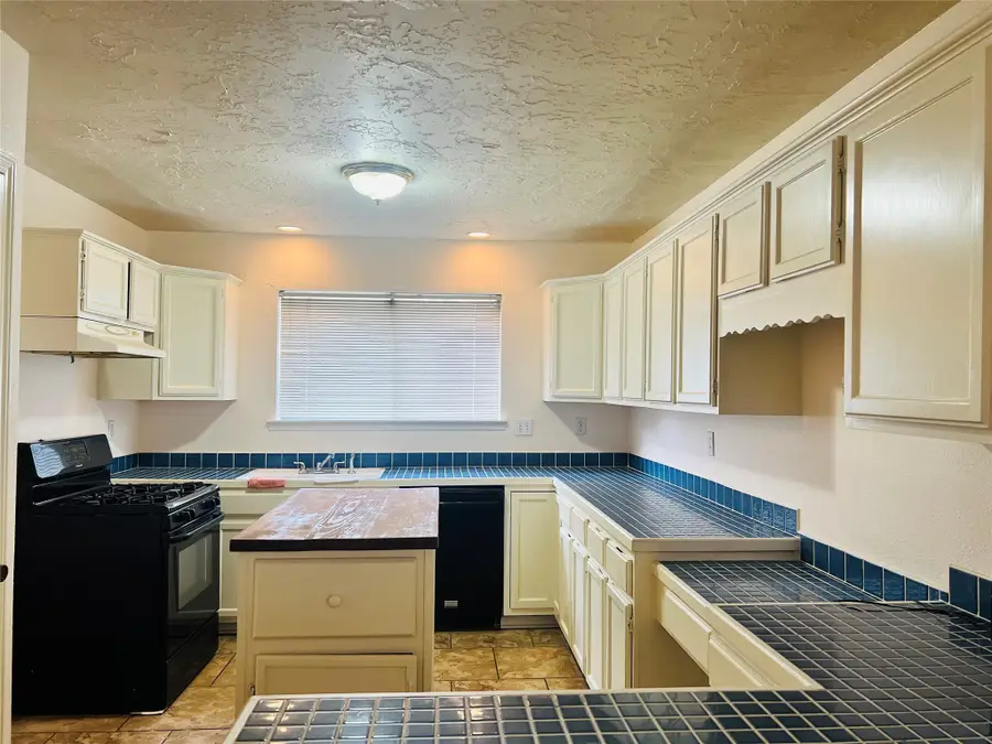 12614 Hunting Briar Drive, Houston, TX 77099 - #3