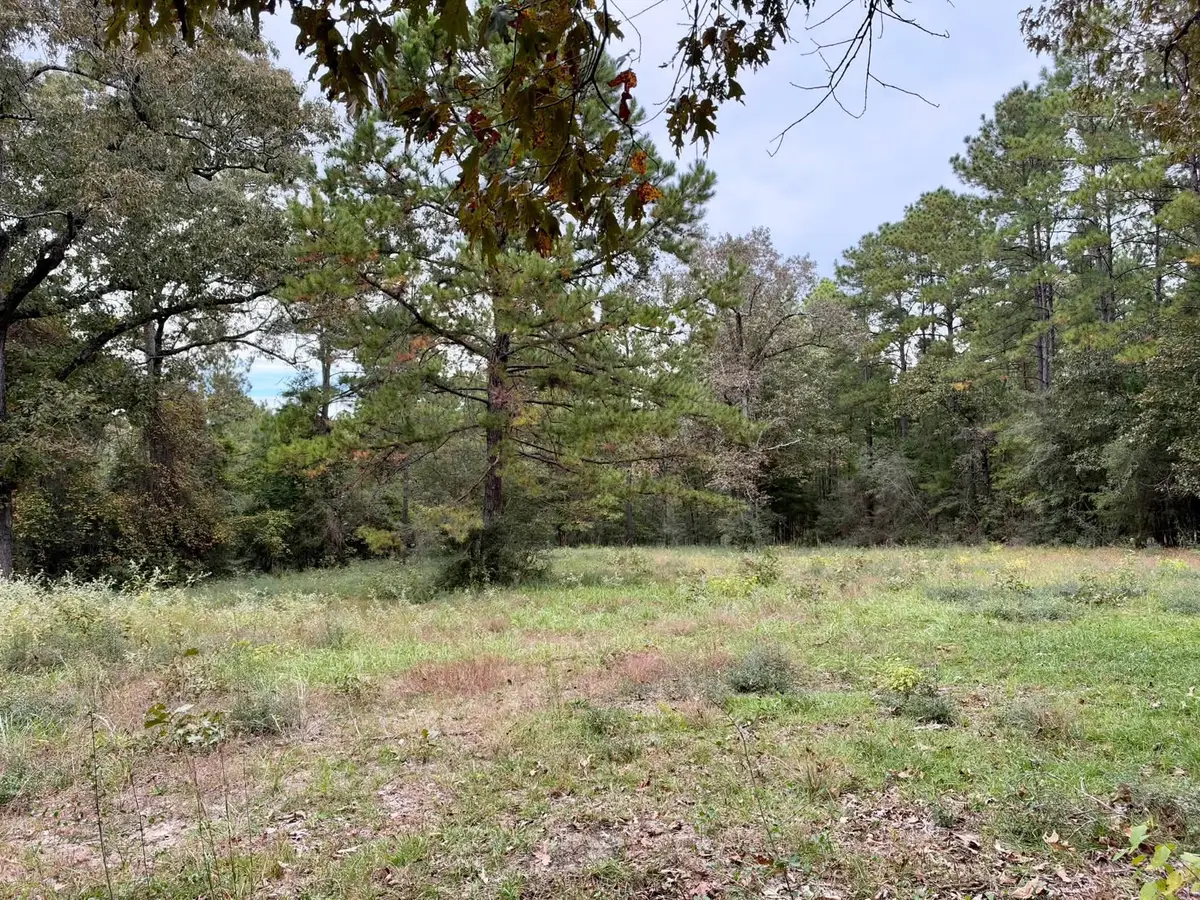 7 Acres Cr 3266, Colmesneil, TX 75938 - #1