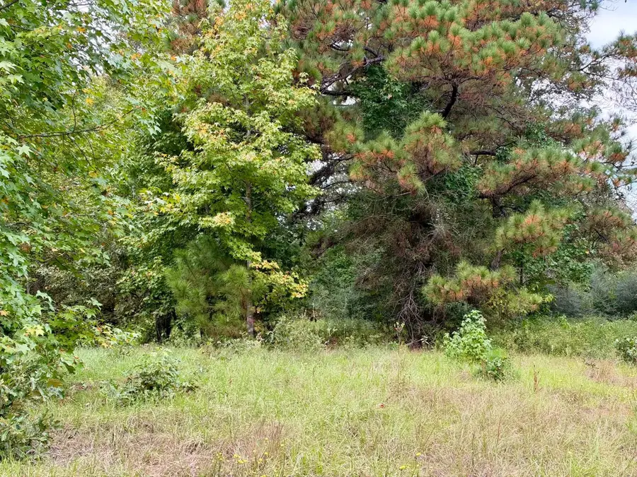 7 Acres Cr 3266, Colmesneil, TX 75938 - #2