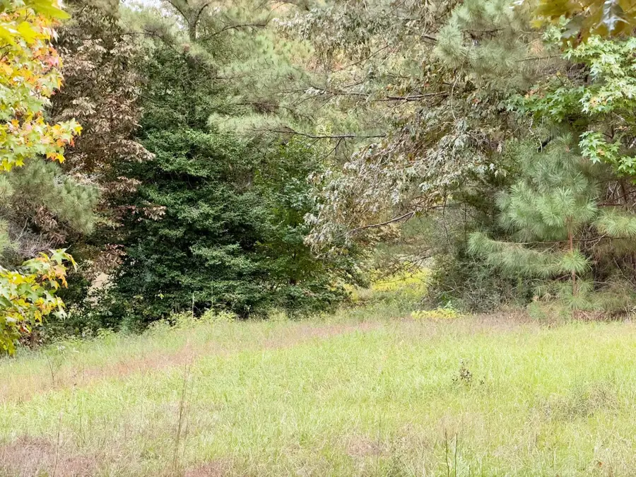 7 Acres Cr 3266, Colmesneil, TX 75938 - #3