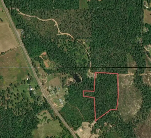 9.3AC County Road 2035, Newton, TX 75966
