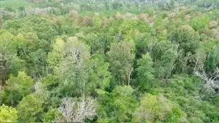 9.3AC County Road 2035, Newton, TX 75966 - #3