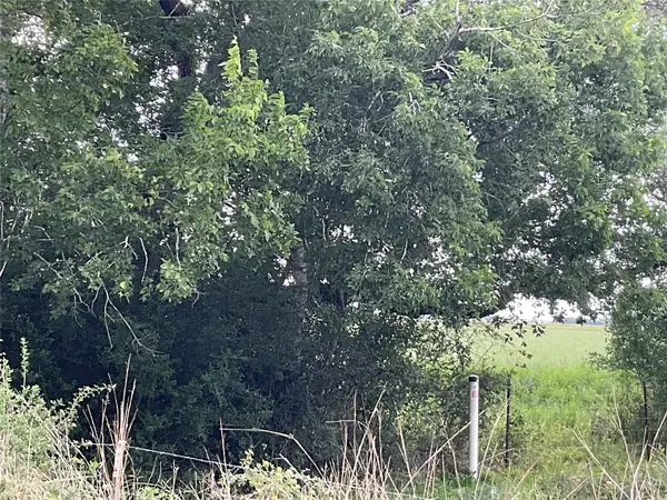 TBD Cr 449/francitas Road, Francitas, TX 77961