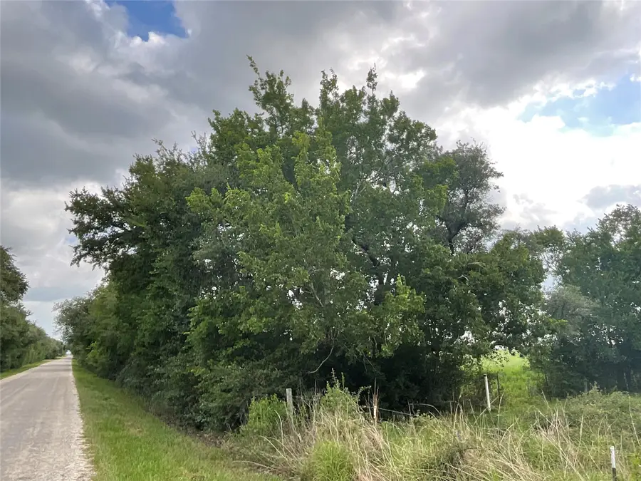 TBD Cr 449/francitas Road, Francitas, TX 77961 - Image #2