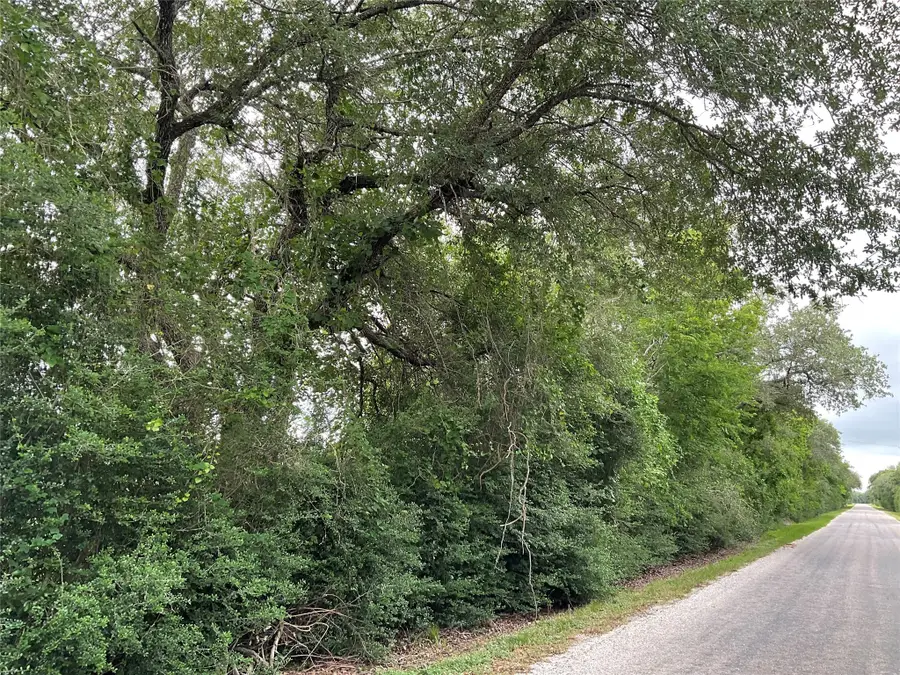 TBD Cr 449/francitas Road, Francitas, TX 77961 - Image #3