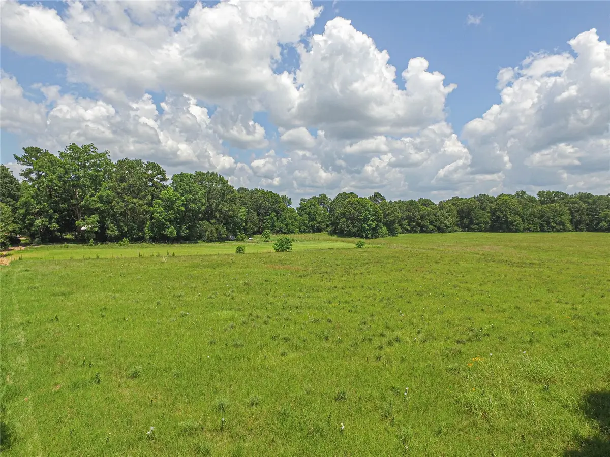 TBD Fm 350 S, Livingston, TX 77351 - #1