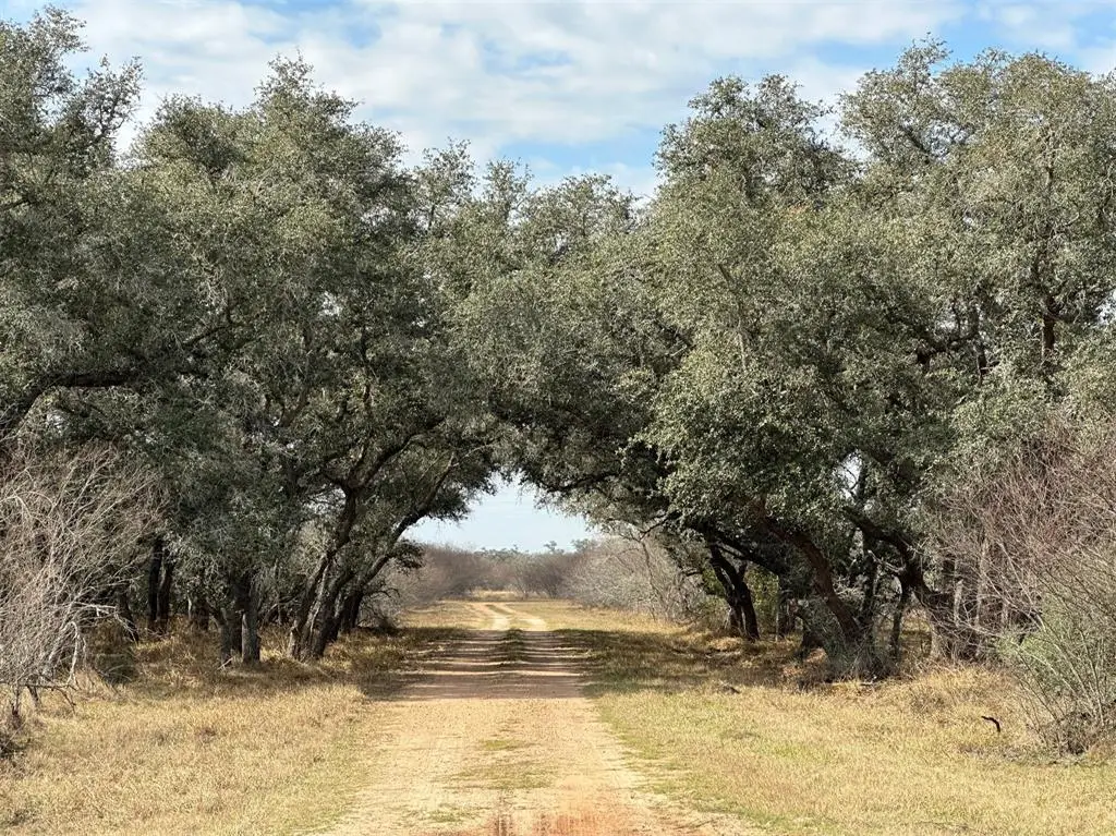 0 Schubert Road, Victoria, TX 77905 - Image #1
