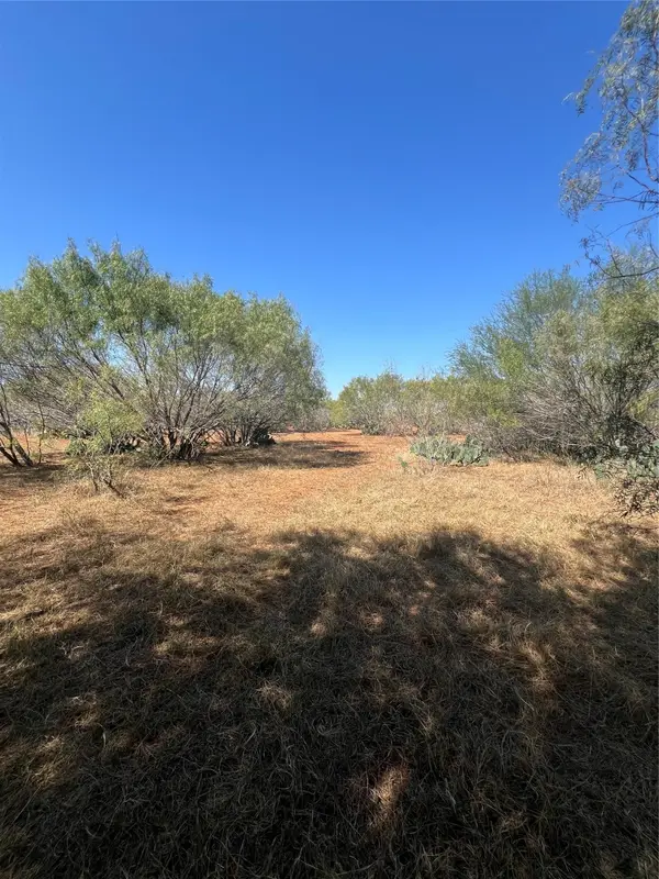 50 Cr 321 Tract 18, Jourdanton, TX 78026
