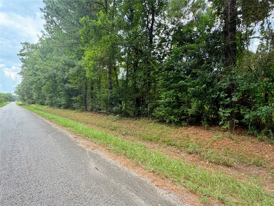 21981 Carol Road, New Caney, TX 77357 - #3