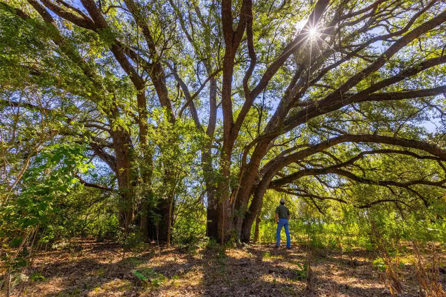 0 Tenney Creek Road, Luling, TX 78648 - #2