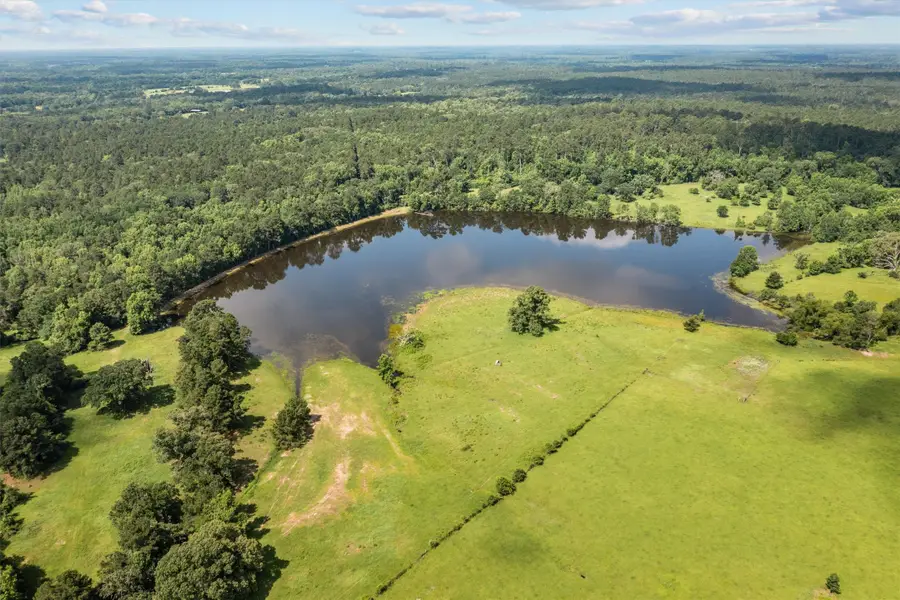 2679 County Road 4140, Crockett, TX 75835 - Image #3