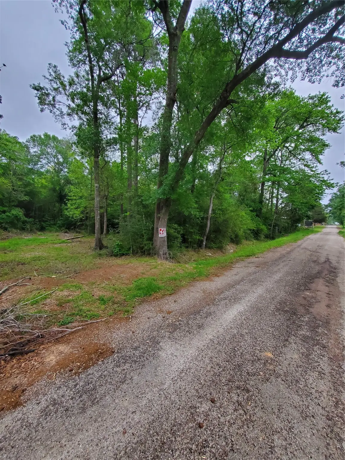 246 Countyroad 3990, Cleveland, TX 77328 - Image #1