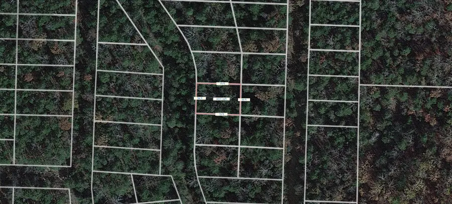Lot 21 Miller Drive, Henderson, AR 72544 - Image #2