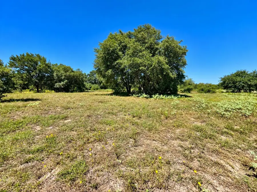 TBD County Road 132, Hallettsville, TX 77964 - #3
