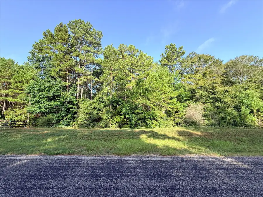 177 Sundog Road, Huntsville, TX 77340 - #3
