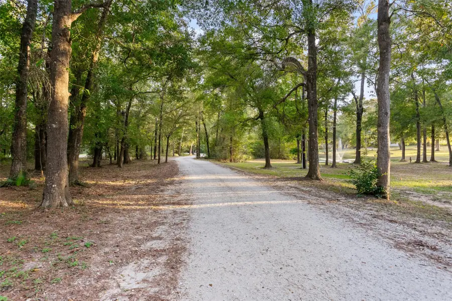 18181 Rabon Chapel Road, Montgomery, TX 77316 - #3