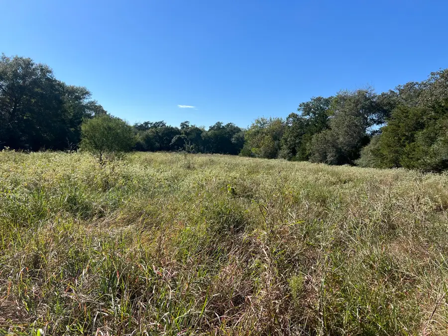 TBD Fm 109, Columbus, TX 78934 - #2