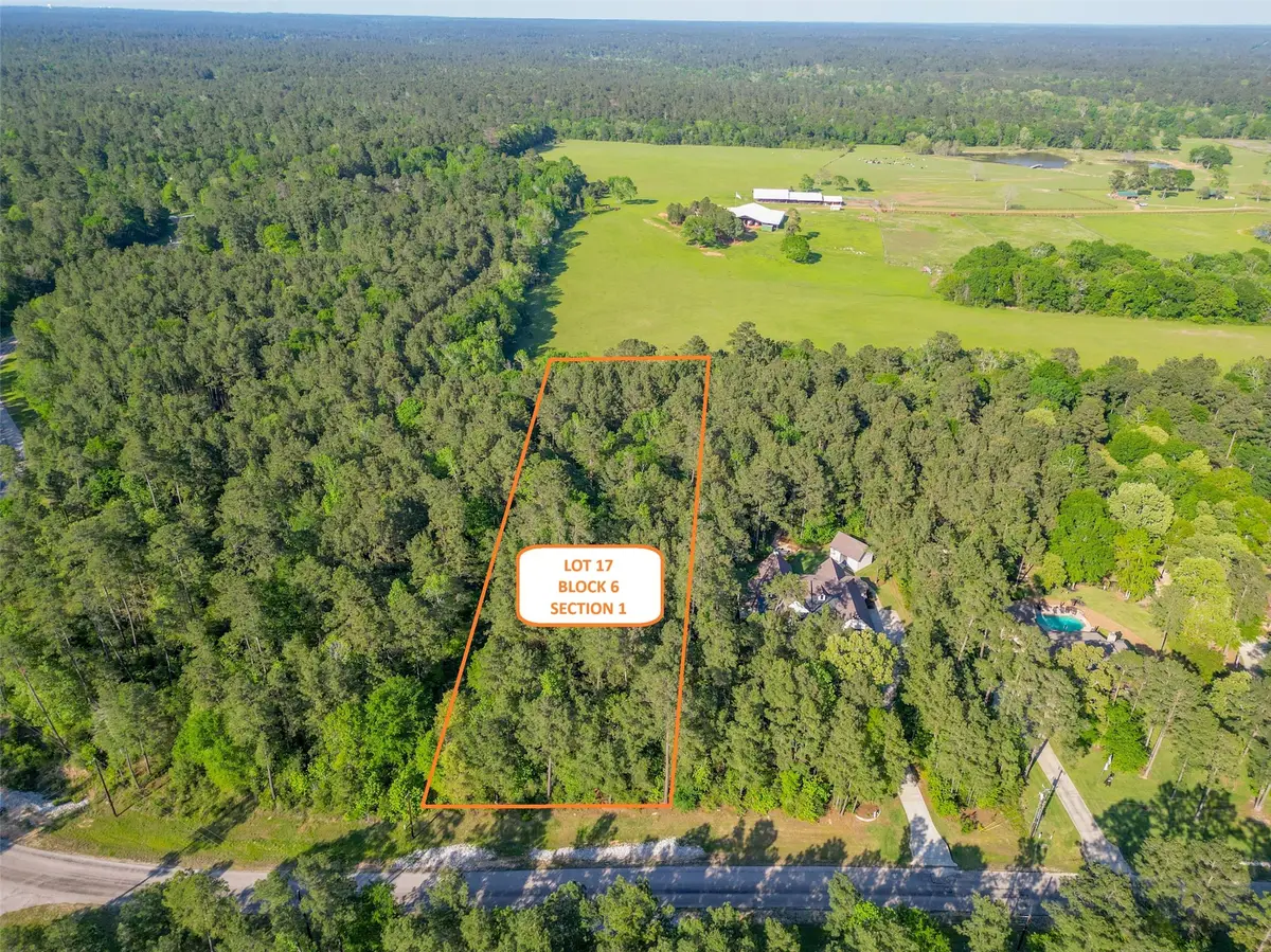 1-6-17 Dedication Trail, Huntsville, TX 77340 - #1