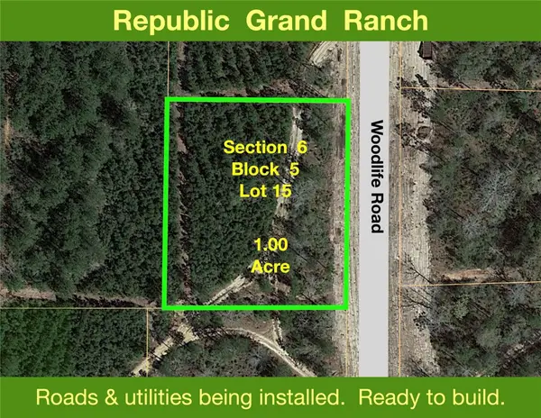 15723 Woodlife Road, Willis, TX 77378