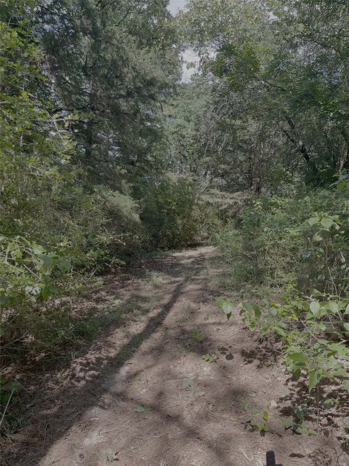 0 County Road 1208, Grapeland, TX 75844 - #1