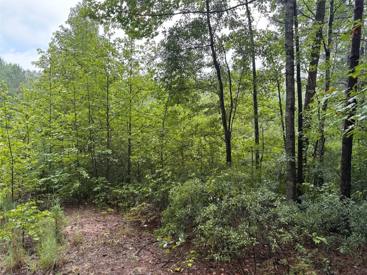 000 An County Road 3194, Frankston, TX 75763 - Image #1