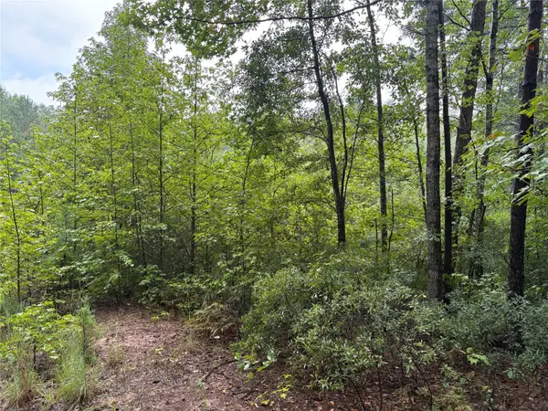 000 An County Road 3194, Frankston, TX 75763