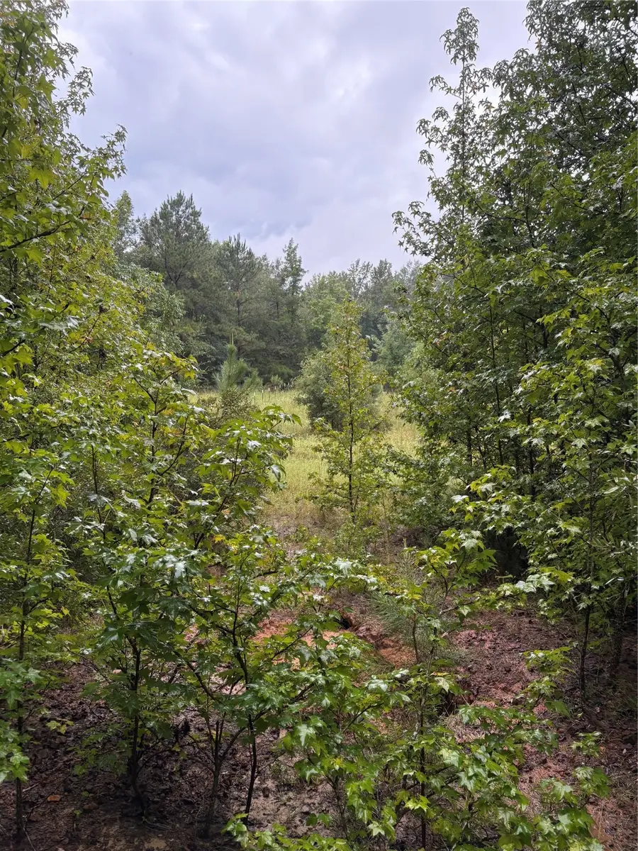 000 An County Road 3194, Frankston, TX 75763 - Image #2