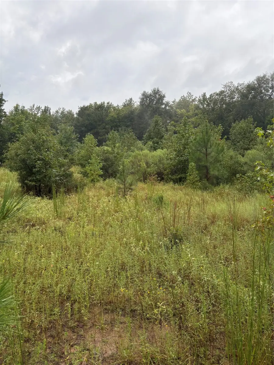 000 An County Road 3194, Frankston, TX 75763 - Image #3