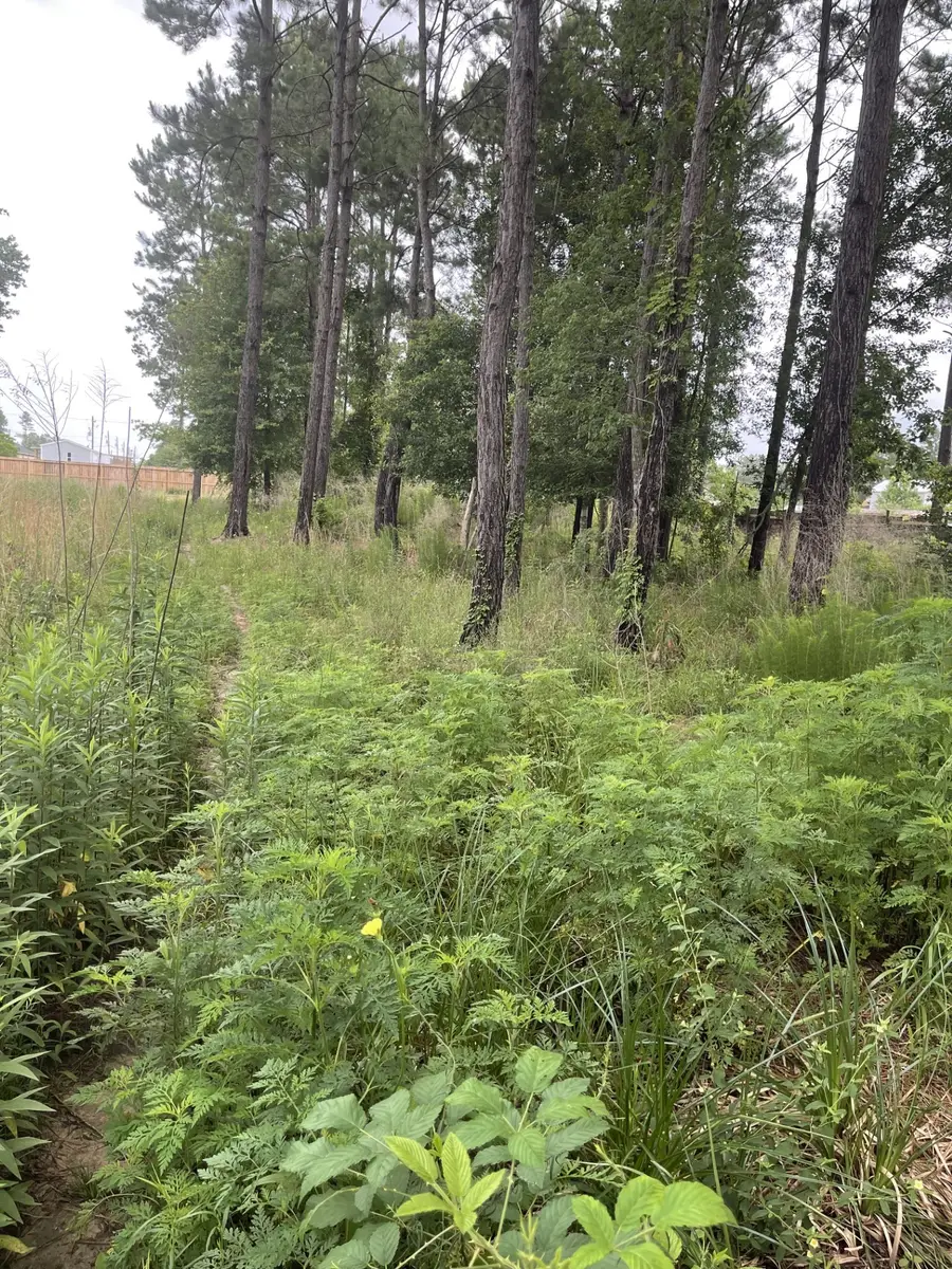 975 Country Road 5021, Cleveland, TX 77327 - #2