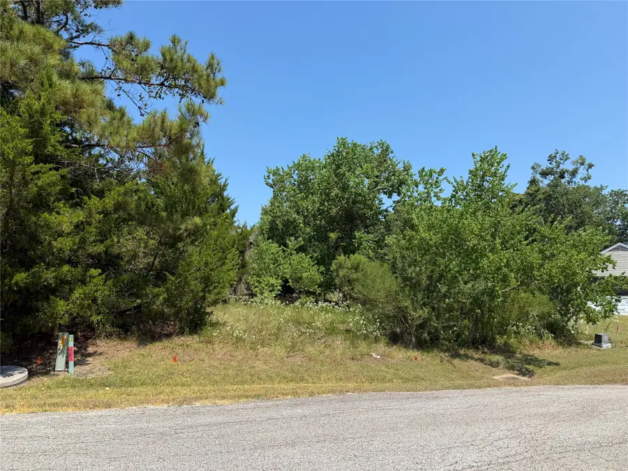 600 N Forest Cove Loop, Coldspring, TX 77331 - #2